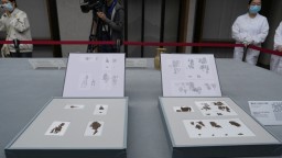 Китайски копринени ръкописи на 2300 години се завърнаха в страната след близо 80 години в чужбина