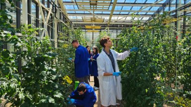 В Пловдив български учени работят заедно с учени от други