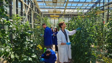 България привлича млади учени от света: Plantasyst дава шанс за развитието на наука от световно ниво