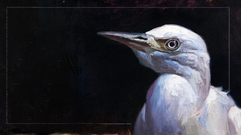 "Anima" -  първа самостоятелна изложба на Станислава Върбанова за душата, която споделяме с природата