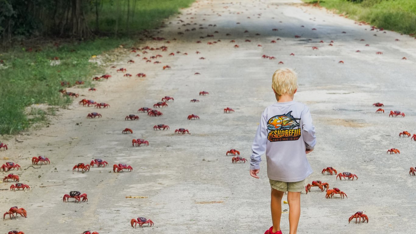 На остров Рождество, където раците имат специален път