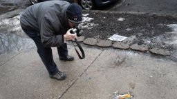 "Rat Hole" в Чикаго – когато тротоарът се превърне в градска легенда