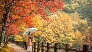 Япония бие рекорди: 42,7 милиона чуждестрнни туристи са посетители страната през 2025 г.