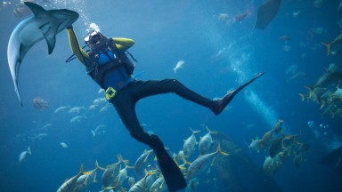 Бивша морска станция, заобиколена от акули, се превърна в "най-опасния хотел в света"