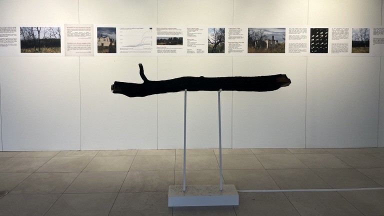 Опожареното дърво "проговаря" в изложбата "Пепел и памет" на Аксения Аврамова в УниКредит Студио