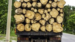 Предлагат запазване на цената на дървата за местното население в Община Бургас за 2026 г.