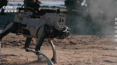 Китай тренира инвазия с кучета-роботи