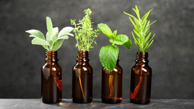 Ароматно масло от босилек, джоджен и розмарин
