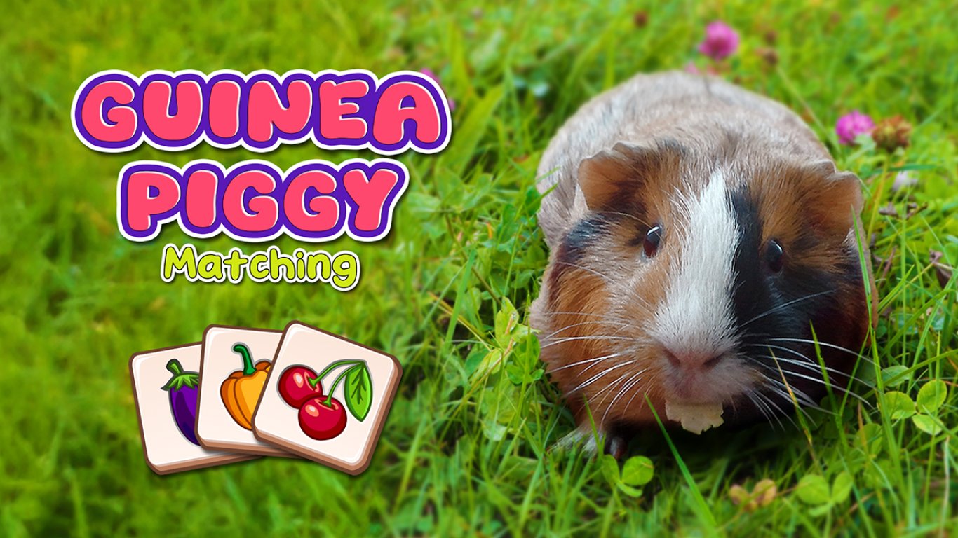 Guinea Piggy Matching
