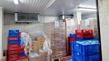 Запечатаха цех и складове с 35 тона месо без документи и без ясен произход в София (видео)