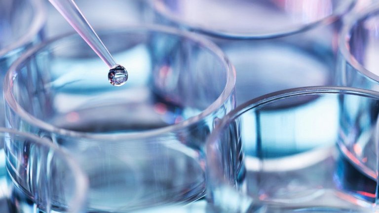 Новото бъдеще на красотата: Чиста, етична и с мисия