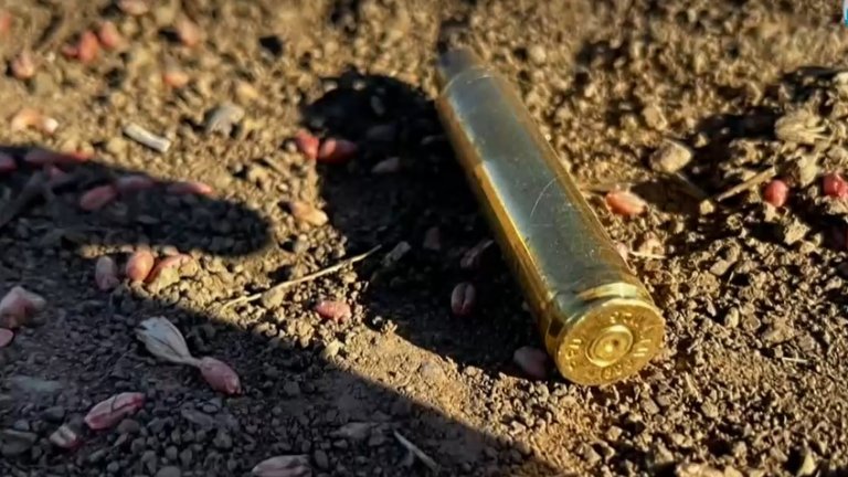 Застреляха куче в Русенско, докато стопанката му го разхожда 