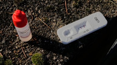 50 коли в Германия осъмнаха със свастики, изрисувани с човешка кръв