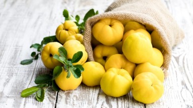 Тънкостите, които трябва да знаем, когато готвим с дюли