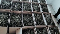 Удариха депо за съхранение на марихуана в столичния квартал "Орландовци" (видео)
