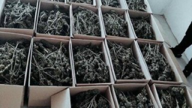 Удариха депо за съхранение на марихуана в столичния квартал "Орландовци" (видео)