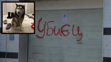 Лекарят, прегазил кучето Мая, се изнесе, а гаражът му осъмна с надпис "Убиец"