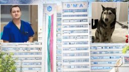  Лекарят, прегазил кучето Мая, се яви в МВР с адвокат. Пуснаха го под гаранция от 5000 лева