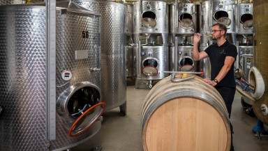 Екстремният климат заплашва световното производство на вино