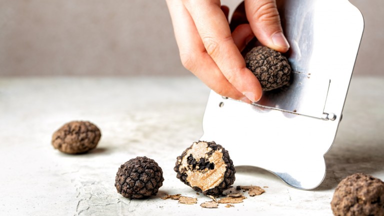 Трюфелът - изтънчената подземна гъба, която няма аналог в света