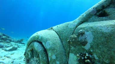 Подводен скулптурен парк ще създава изкуствени коралови рифове в Маями