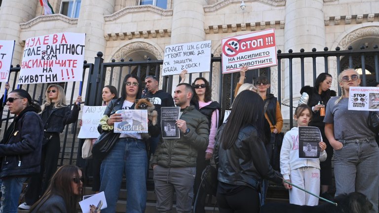 Столичани и варненци излязоха на протест след случая с прегазеното куче Мая (снимки)