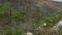 РИОСВ-Русе закри депото за опасни отпадъци на "Биовет" в Разград