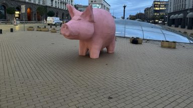 От "Продължаваме промяната" поставиха прасе-касичка пред парламента (снимки/видео)