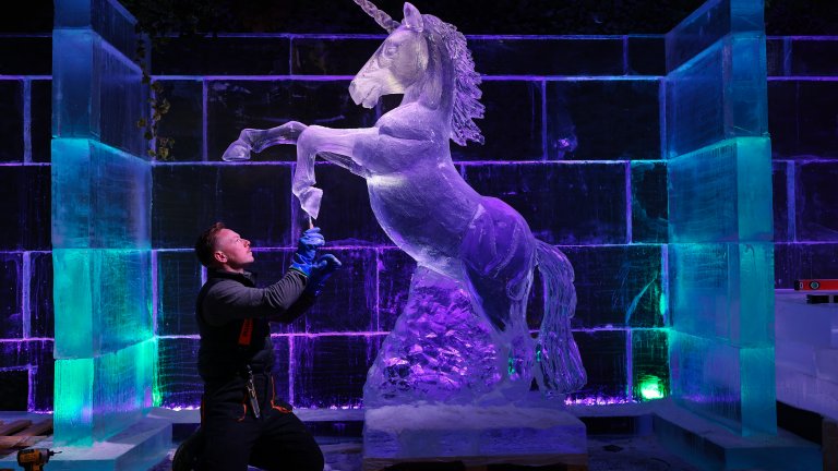 От ледени еднорози до гълъб чете вестник: Седмицата в кадри, които няма как да забравим