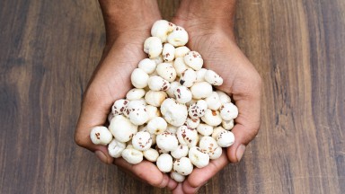 Индийска верига за суперхрани избра България за отварянето на ключов завод