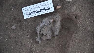 Голям древен град на около 3600 години беше открит в степта на Казахстан