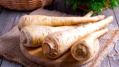 Как и за какво да използваме пащърнак