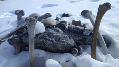 Мистерията на езерото на скелетите (снимки/видео)