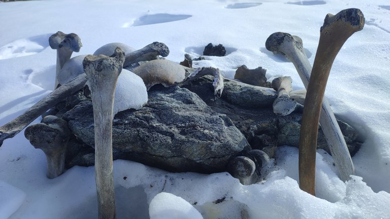 Мистерията на езерото на скелетите (снимки/видео)