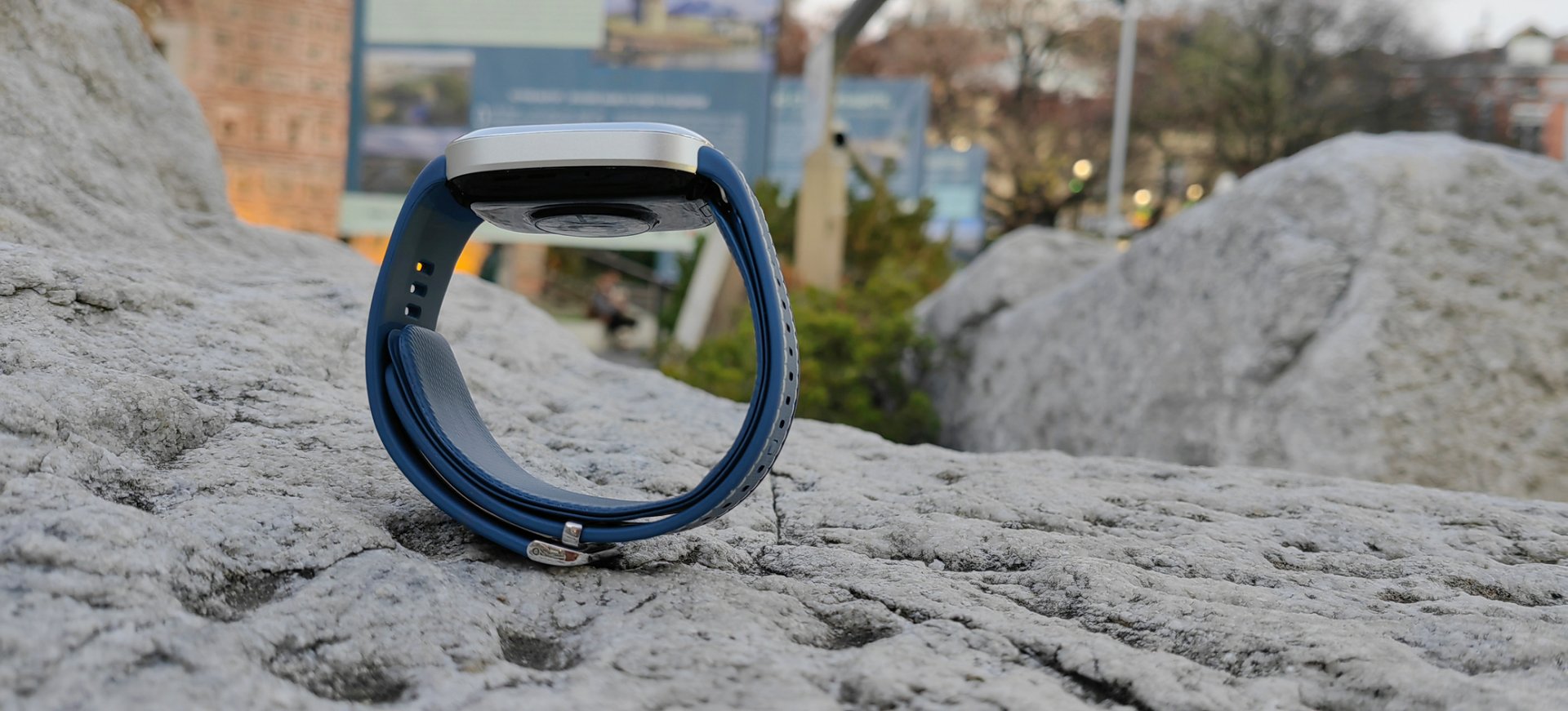 HUAWEI WATCH D2