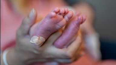 Лекари от две столични болници спасиха живота на бебе с 1 милион левкоцита