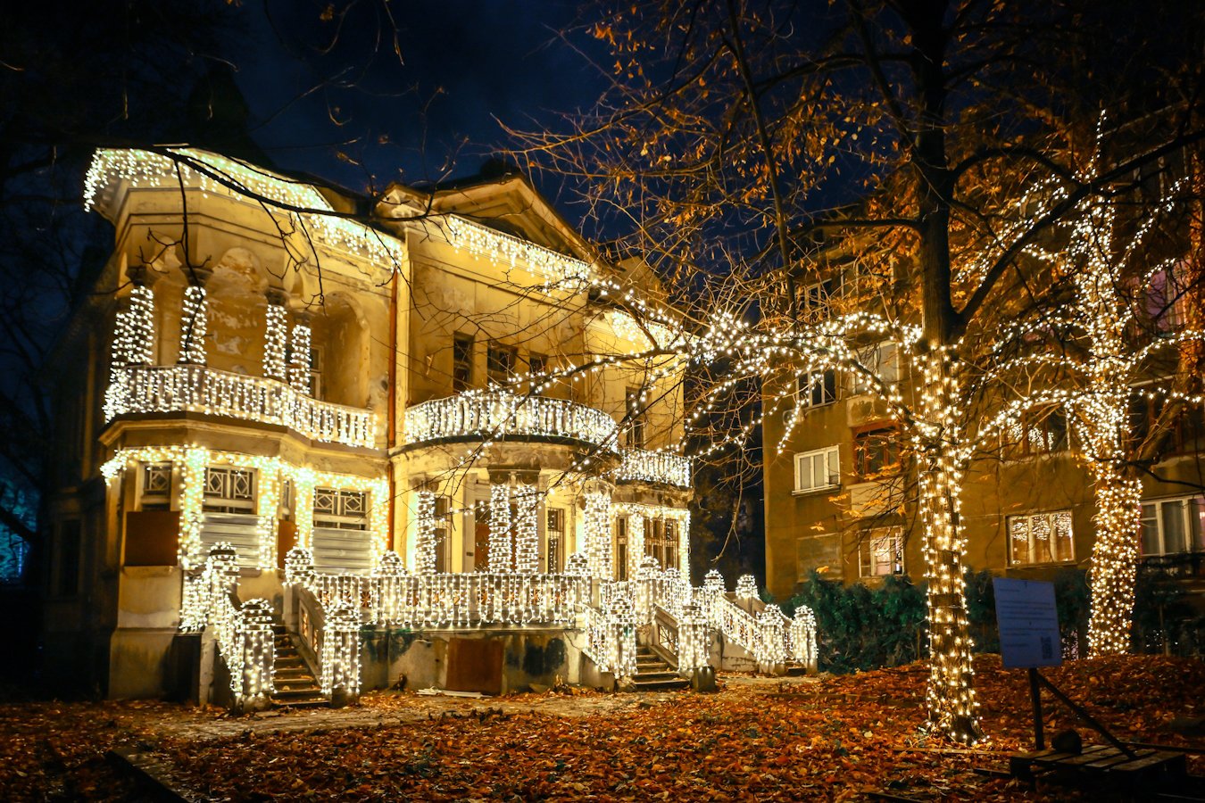 Една от емблемите на София - Къщата с ягодите 