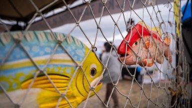 Поскъпването на горивата удари и цената на рибата