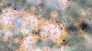  Аксиния Пейчева и "Когато погледнеш към звездите, виждаш миналото" 