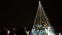 Светлините на коледната елха в София ще грейнат тази вечер