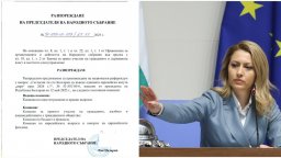Рая Назарян "размрази" за гласуване в НС референдума на Румен Радев за еврото