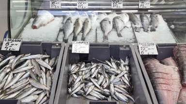 Разнообразние от прясна риба за Никулден във Варна (снимки)