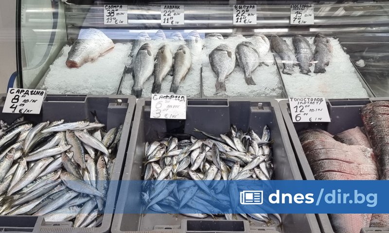 Разнообразние от прясна риба за Никулден във Варна (снимки) dnes dir bg
