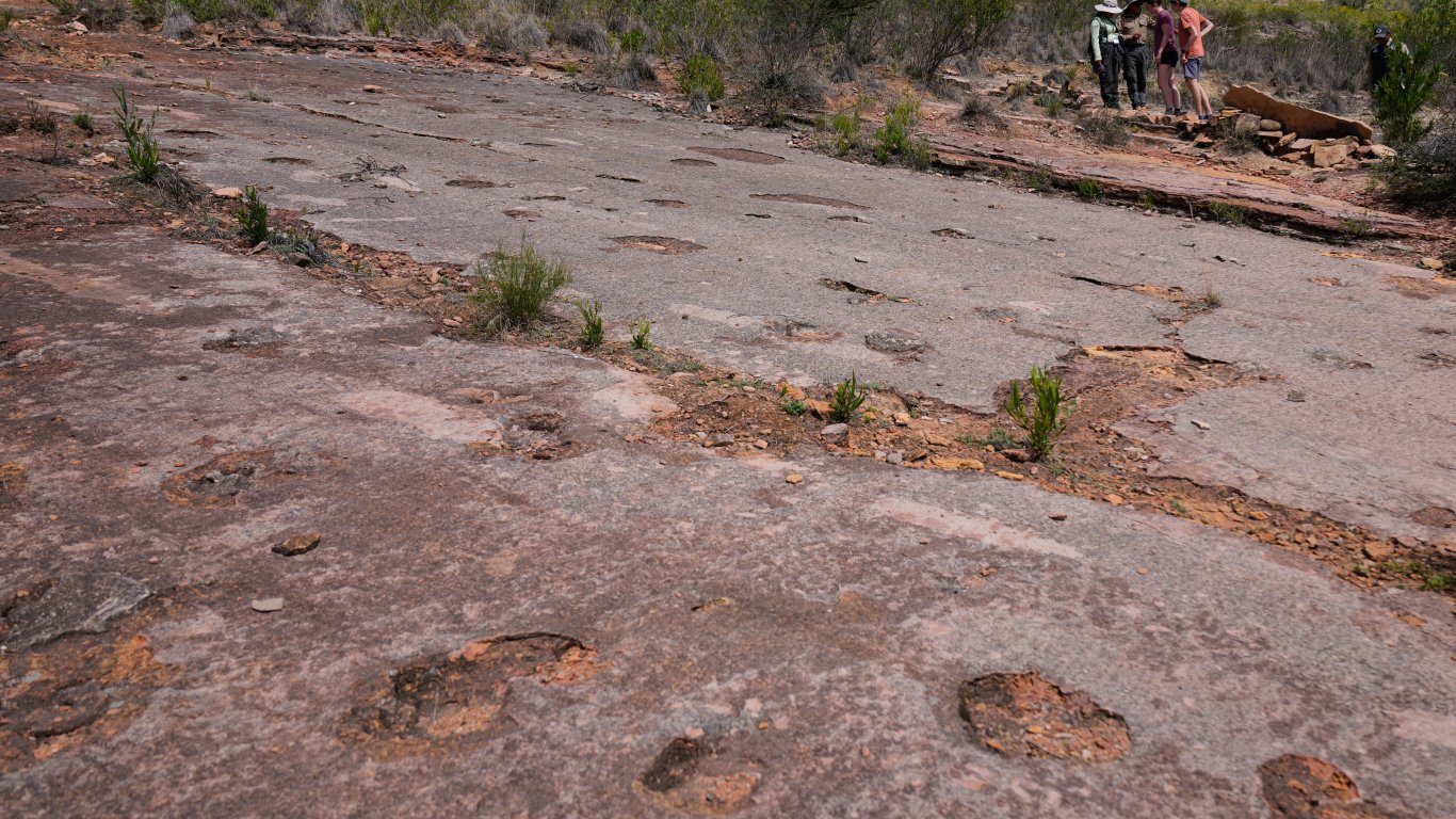 Къде се намира най-голямото находище на отпечатъци от динозаври?