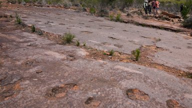 Къде се намира най-голямото находище на отпечатъци от динозаври?
