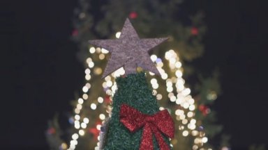 Откраднаха елха, украсена от деца в Радомир, кметството пусна видеозапис 