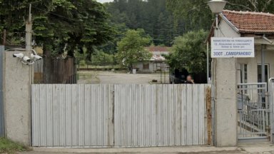 Затворник почина в линейка на път за болница