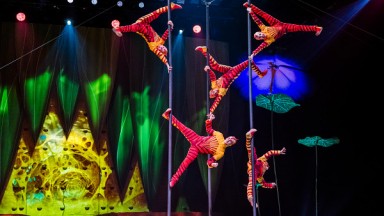 70% от билетите за Cirque du Soleil вече са продадени
