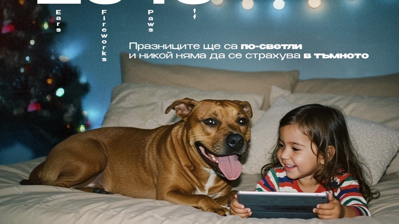 "Четири лапи": Празниците могат да бъдат светли и тихи – без страх и без пиротехника с Движение 2040  