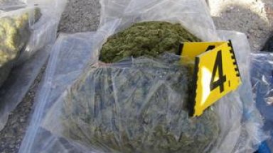 Откриха 700 кг марихуана в тайник на камион на ГКПП "Лесово"